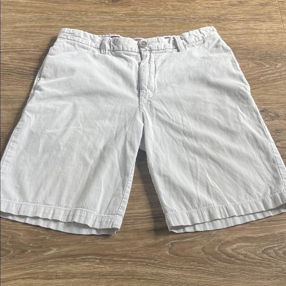 Men's Izod size 30 Gray White Pinstripe Spring Flat Front Summer Casual Shorts